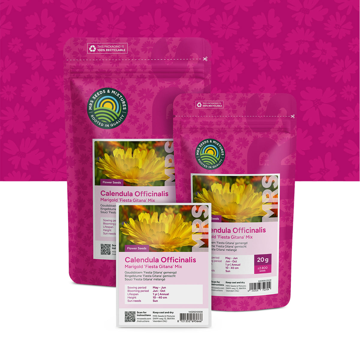 Souci officinal 'Fiesta Gitana' mixte – Calendula