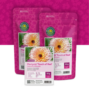 Souci 'Touch of Red' – Calendula
