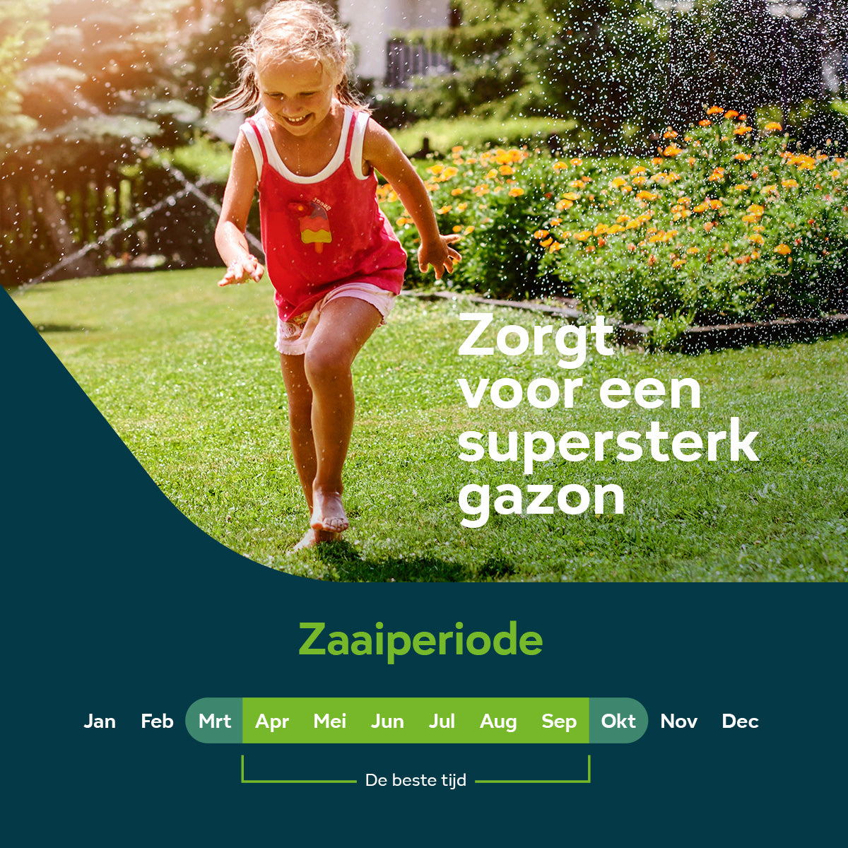 Graszaad speel-sportgazon 10 kg - 500 m² [nl]