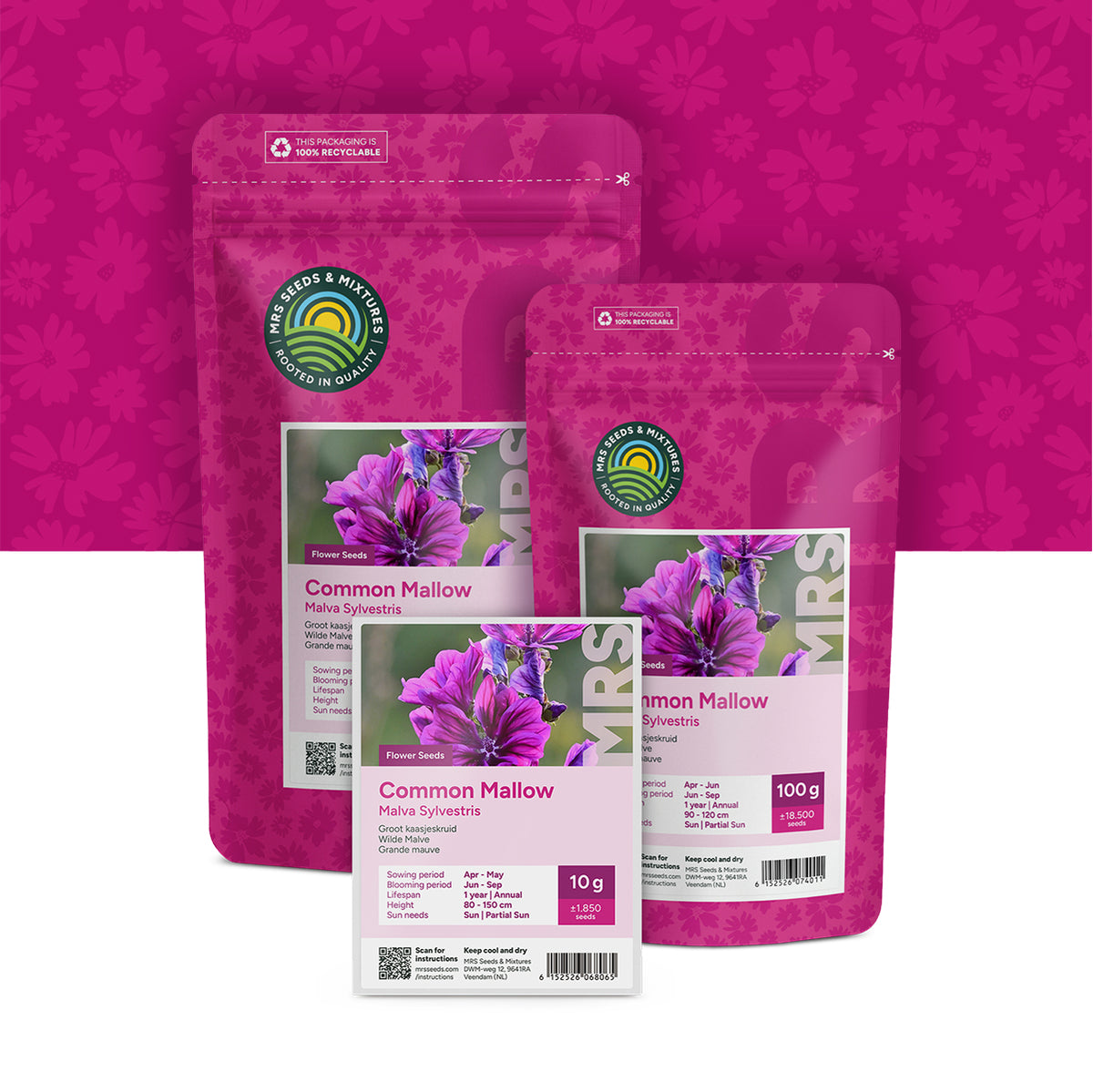 Grande Mauve – Malva sylvestris