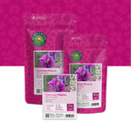 Grande Mauve – Malva sylvestris