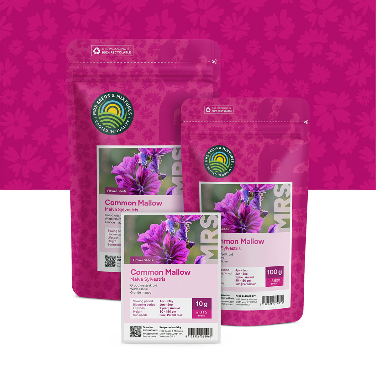 Grande Mauve – Malva sylvestris