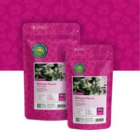 Ammi élevé – Ammi majus