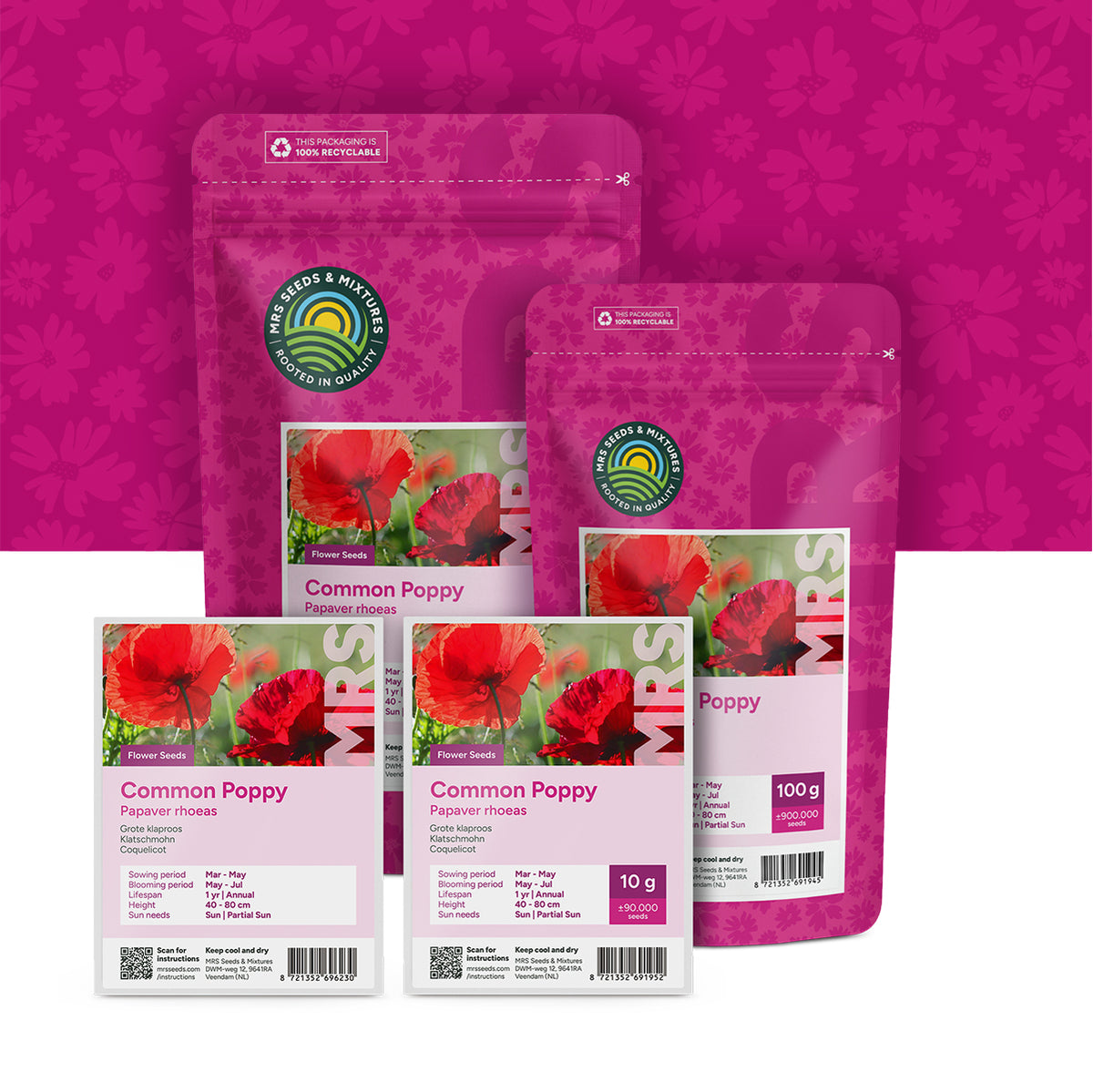 Coquelicot – Papaver Rhoeas