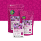 Rose céleste mixte – Viscaria Oculata