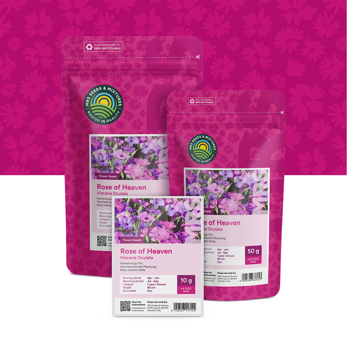 Rose céleste mixte – Viscaria Oculata