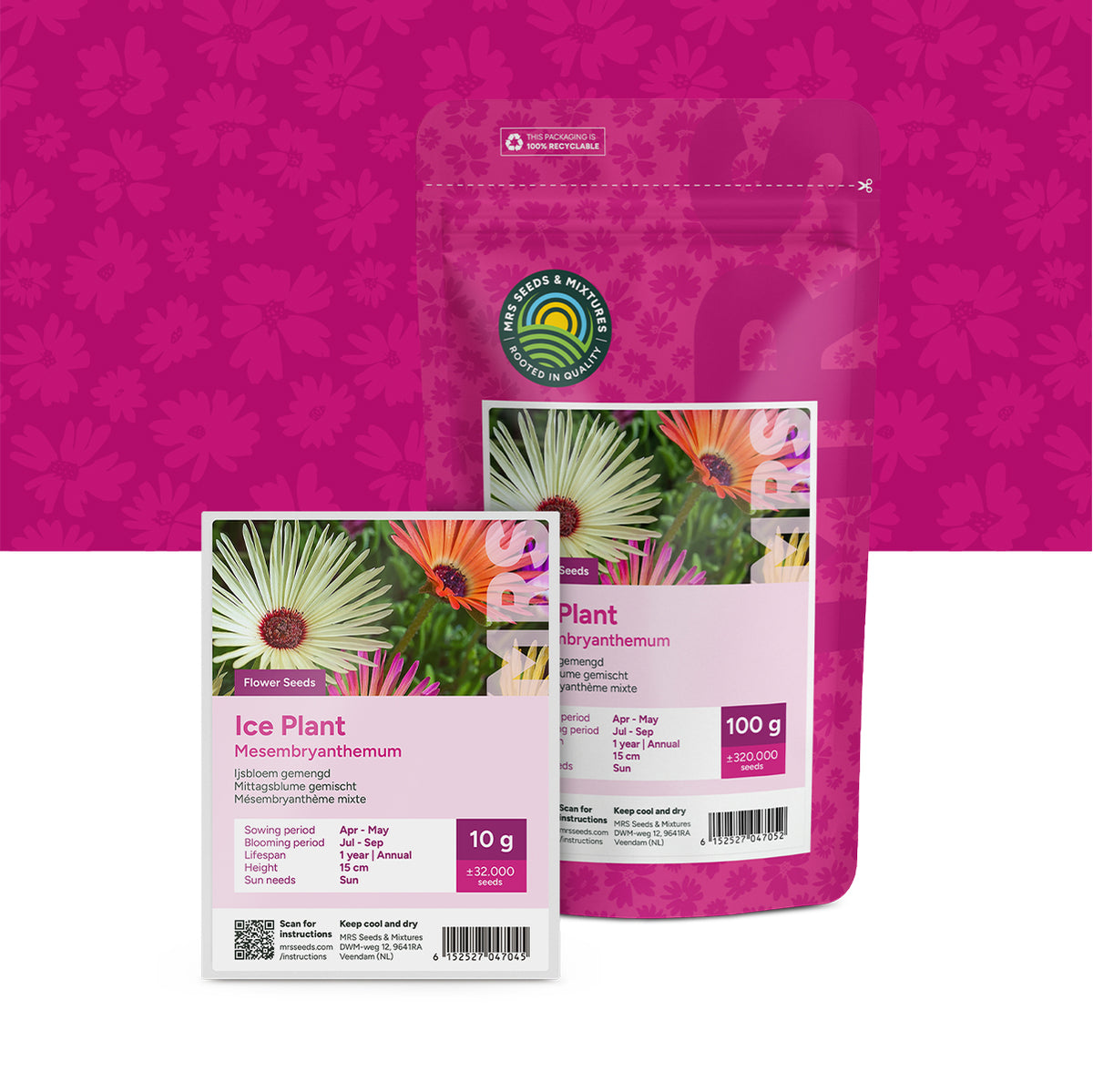 Mésembryanthème mixte – Mesembryanthemum