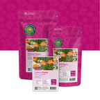 Pavot d'Islande – Papaver nudicaule