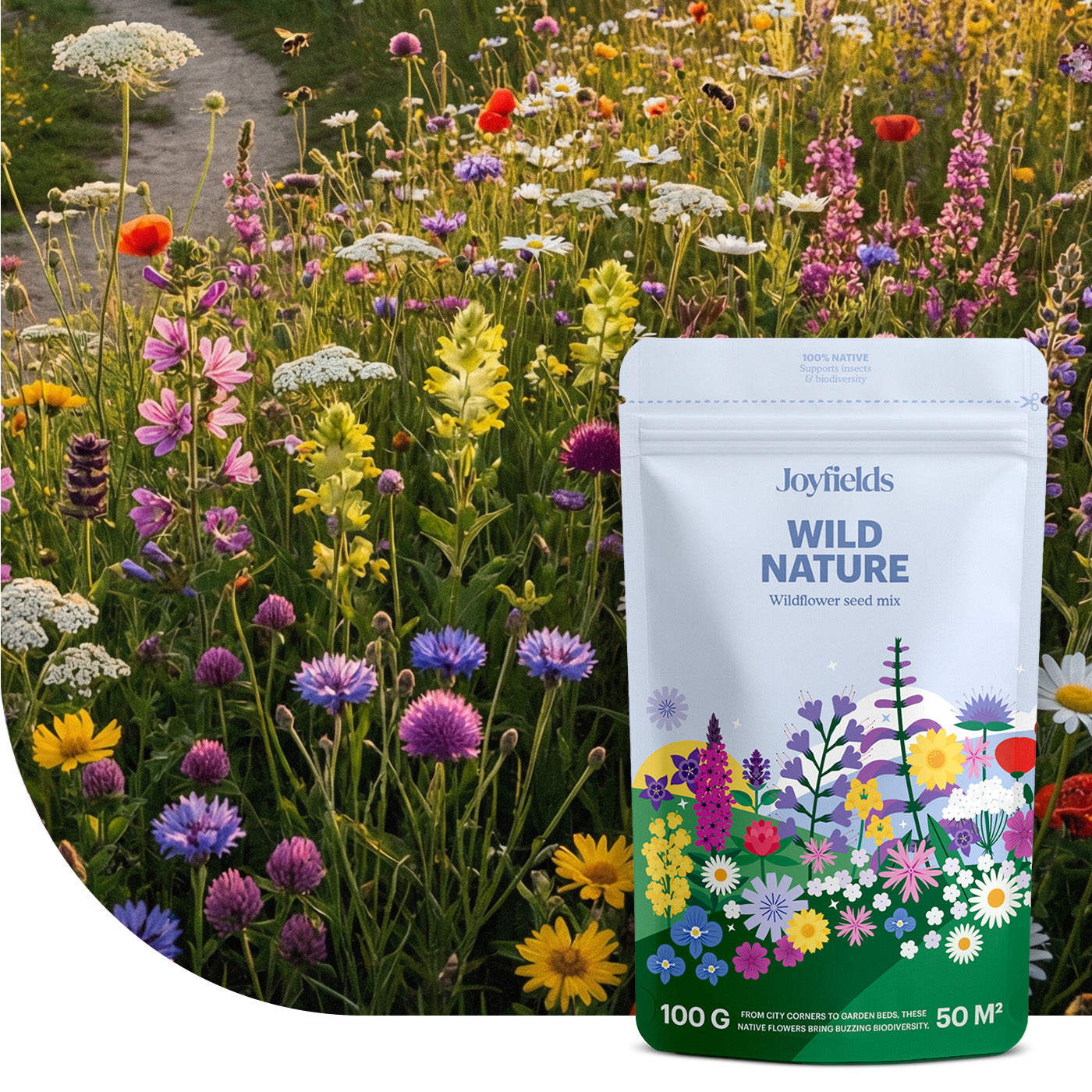 Wild Nature - Mélange de fleurs sauvages indigènes