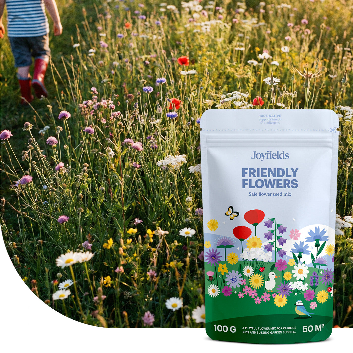 Friendly Flowers - Mélange de fleurs indigènes pour prairies de jeu