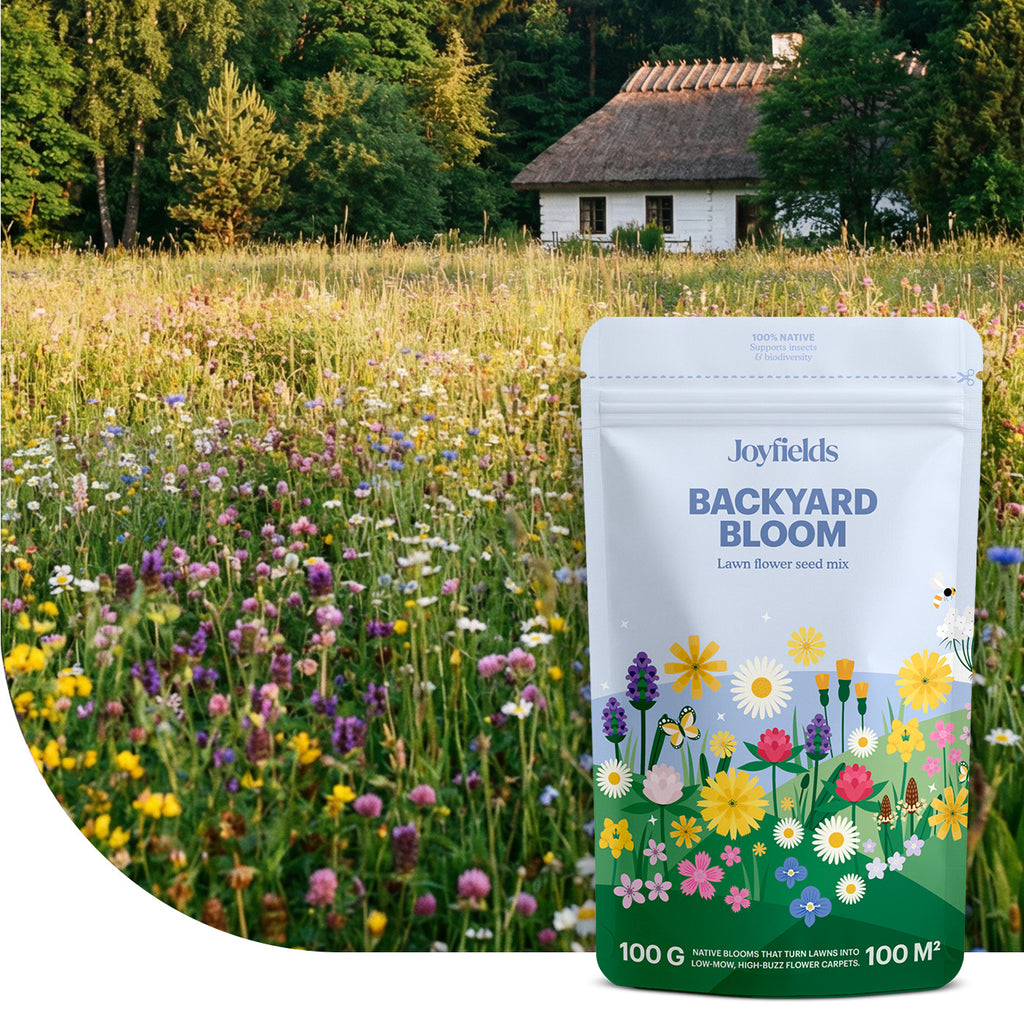 Backyard Bloom – Mélange de gazon fleuri indigène