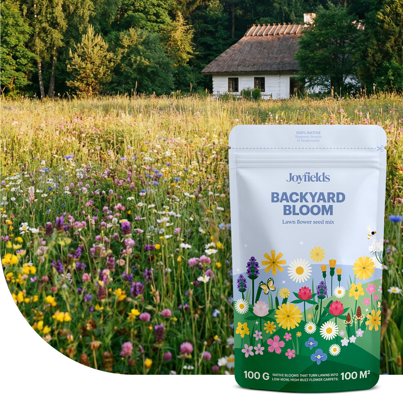 Backyard Bloom – Mélange de gazon fleuri indigène