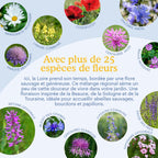 Joyfields Prairie fleurie régionale France - Zone Bassin Parisien Sud [fr]