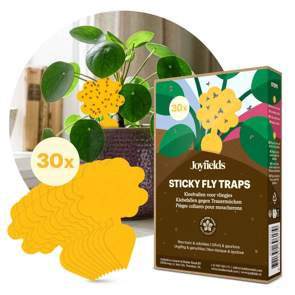 Plaques pièges – pièges collants contre les moucherons