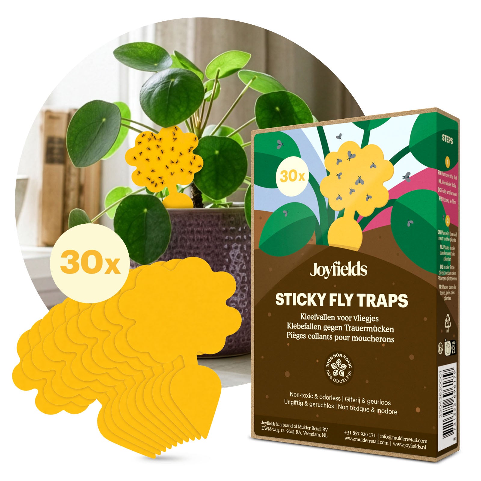 Plaques pièges – pièges collants contre les moucherons