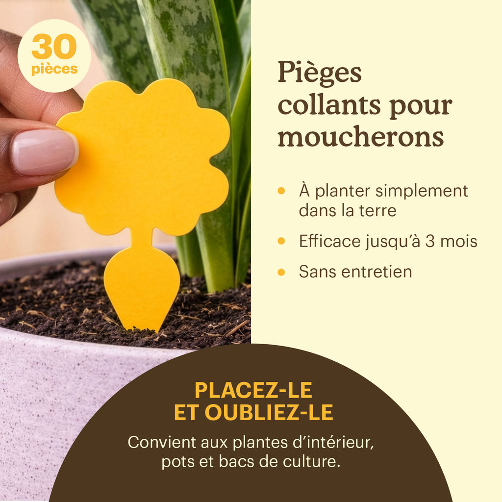 sticky-fly-traps-usps [fr]