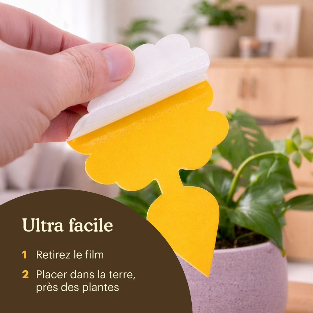 sticky-fly-traps-manual [fr]