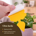 sticky-fly-traps-manual [fr]