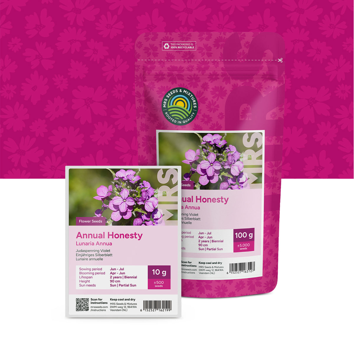 Lunaire annuelle – Lunaria annua