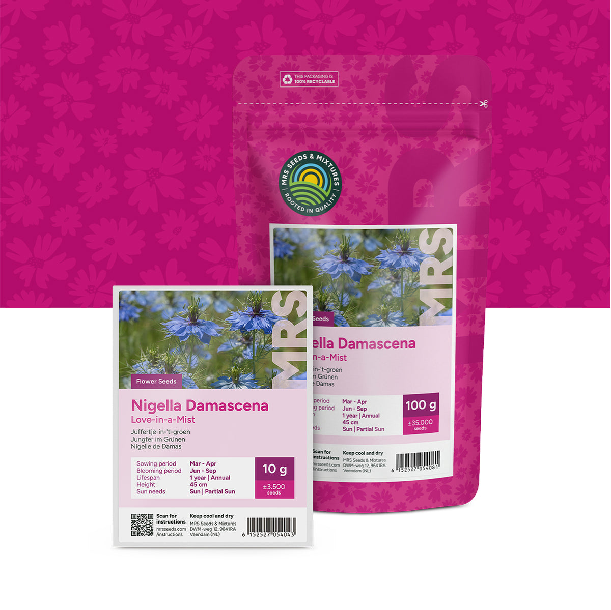 Nigelle de Damas – Nigella damascena