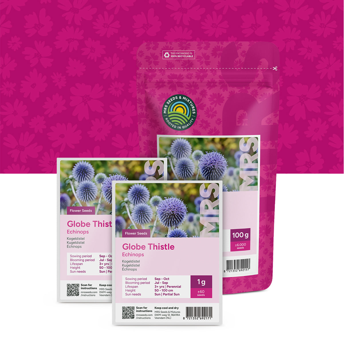 Echinops