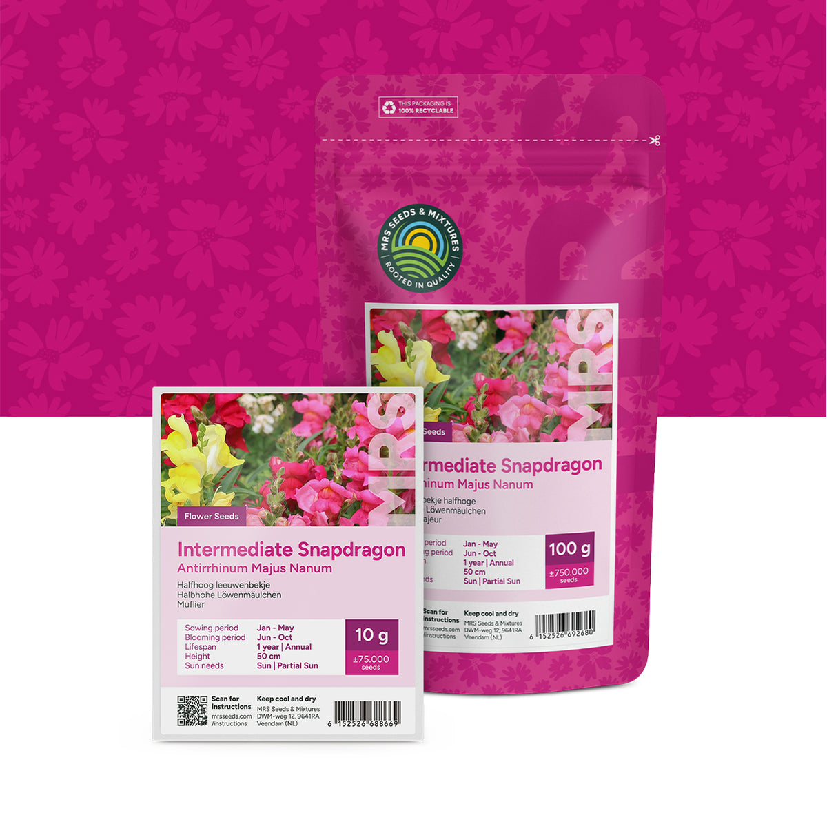 Mufliers – Antirrhinum