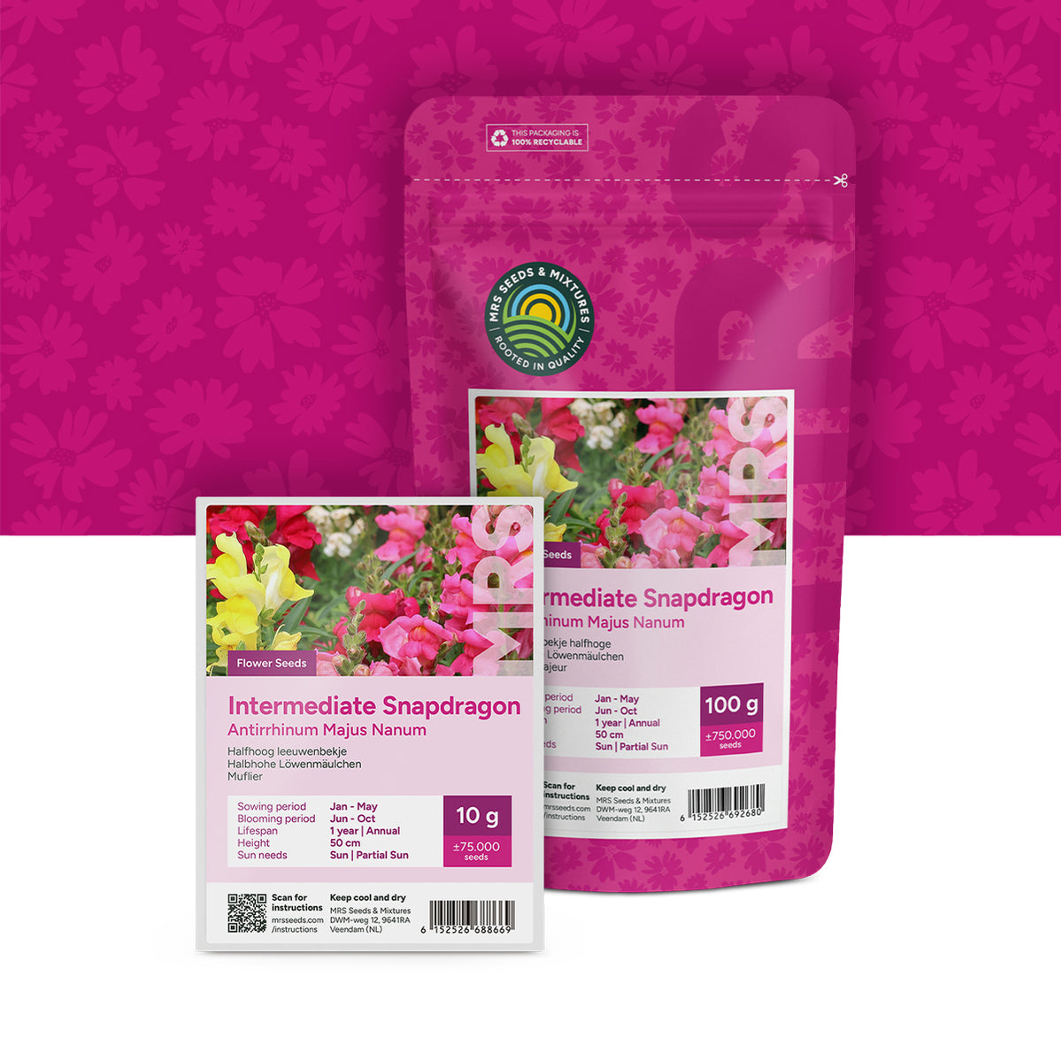 Mufliers – Antirrhinum