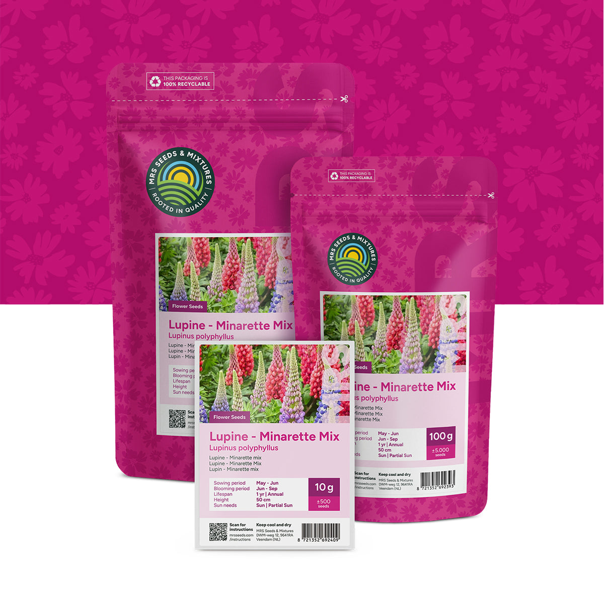 Lupin – Lupinus Minarette mix