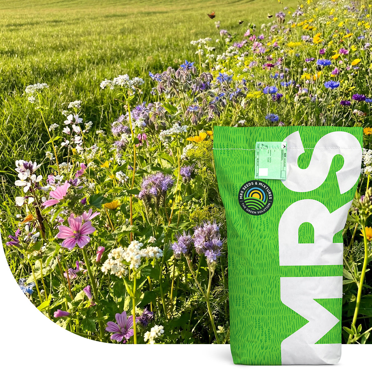 Mélange de bordures de champs | Pollinisation