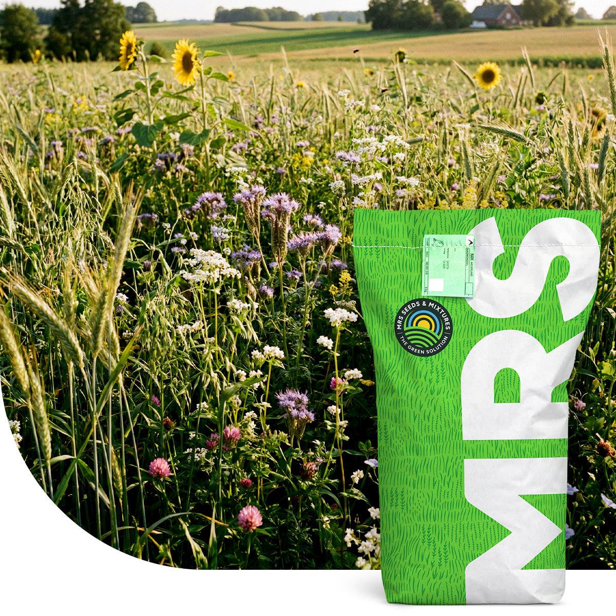 Mélange d’engrais vert