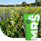 Mélange de prairies sauvages nordiques