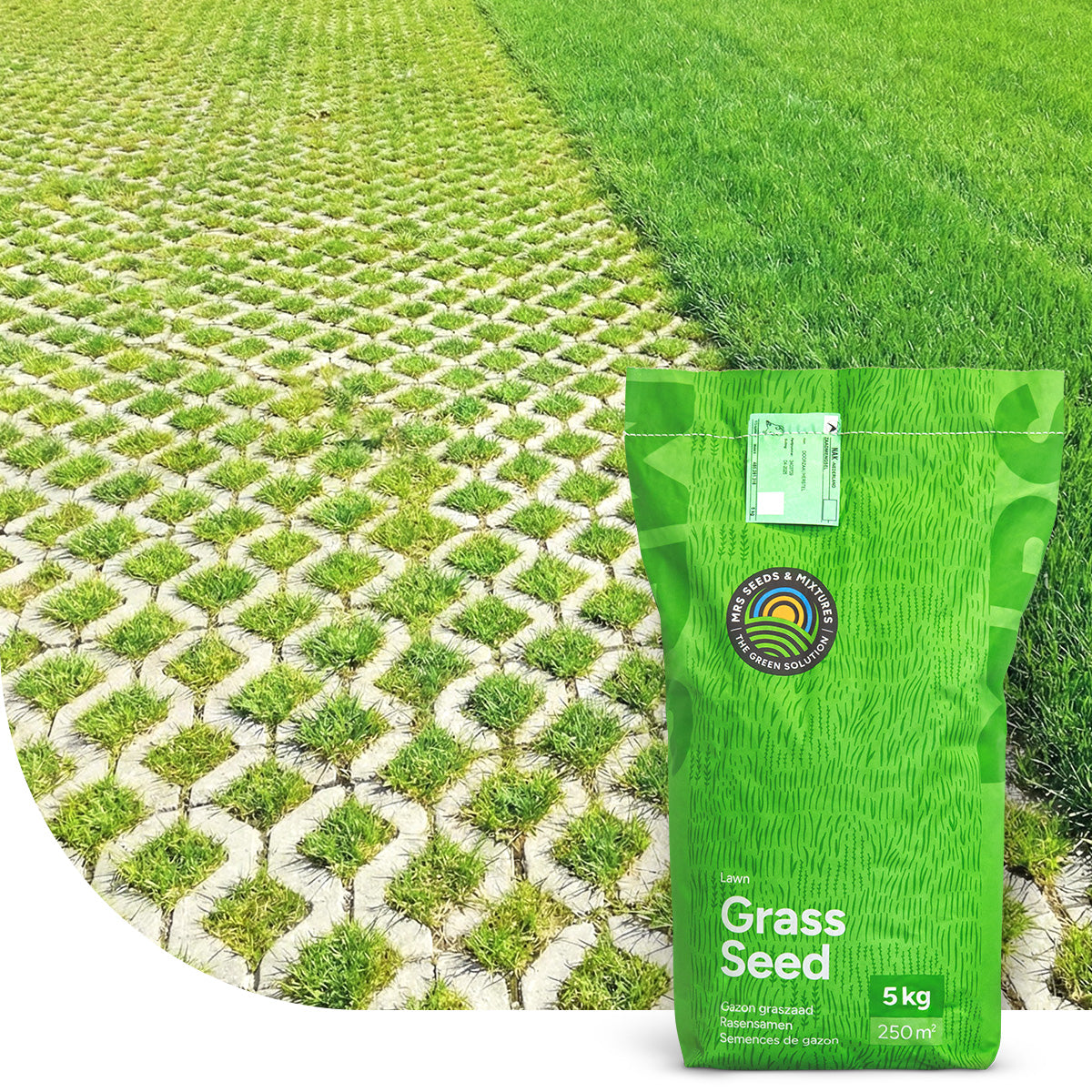 Park & Pave - RSM 5.1 Gazon de parking