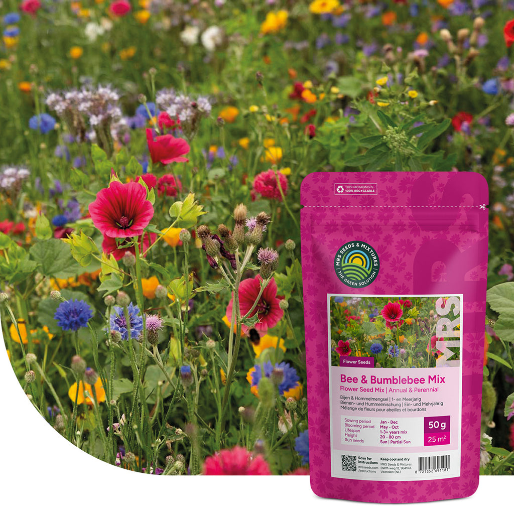 Mélange de fleurs pour abeilles et bourdons