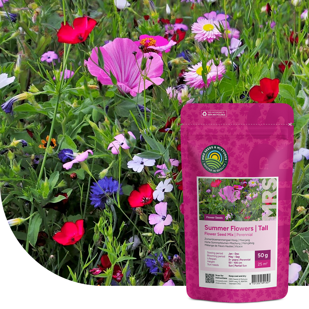 Mélange de fleurs hautes – vivaces