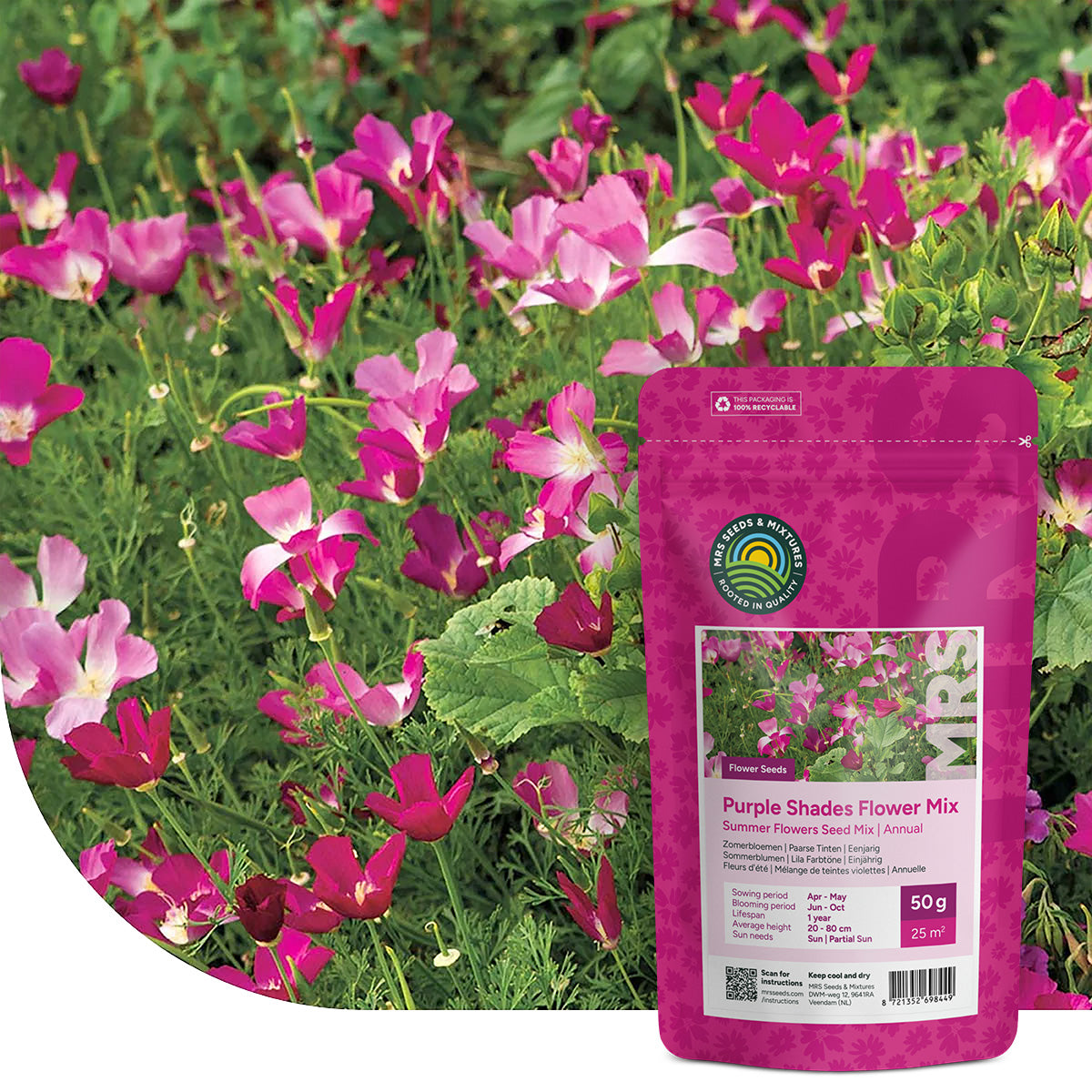 Fleurs d'été – Mélange de teintes violettes