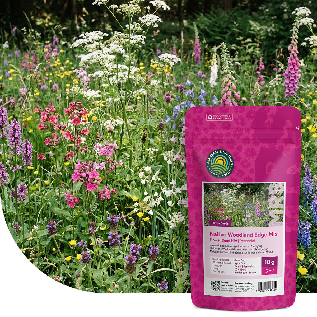 Mélange de fleurs d'ombre indigènes – vivaces
