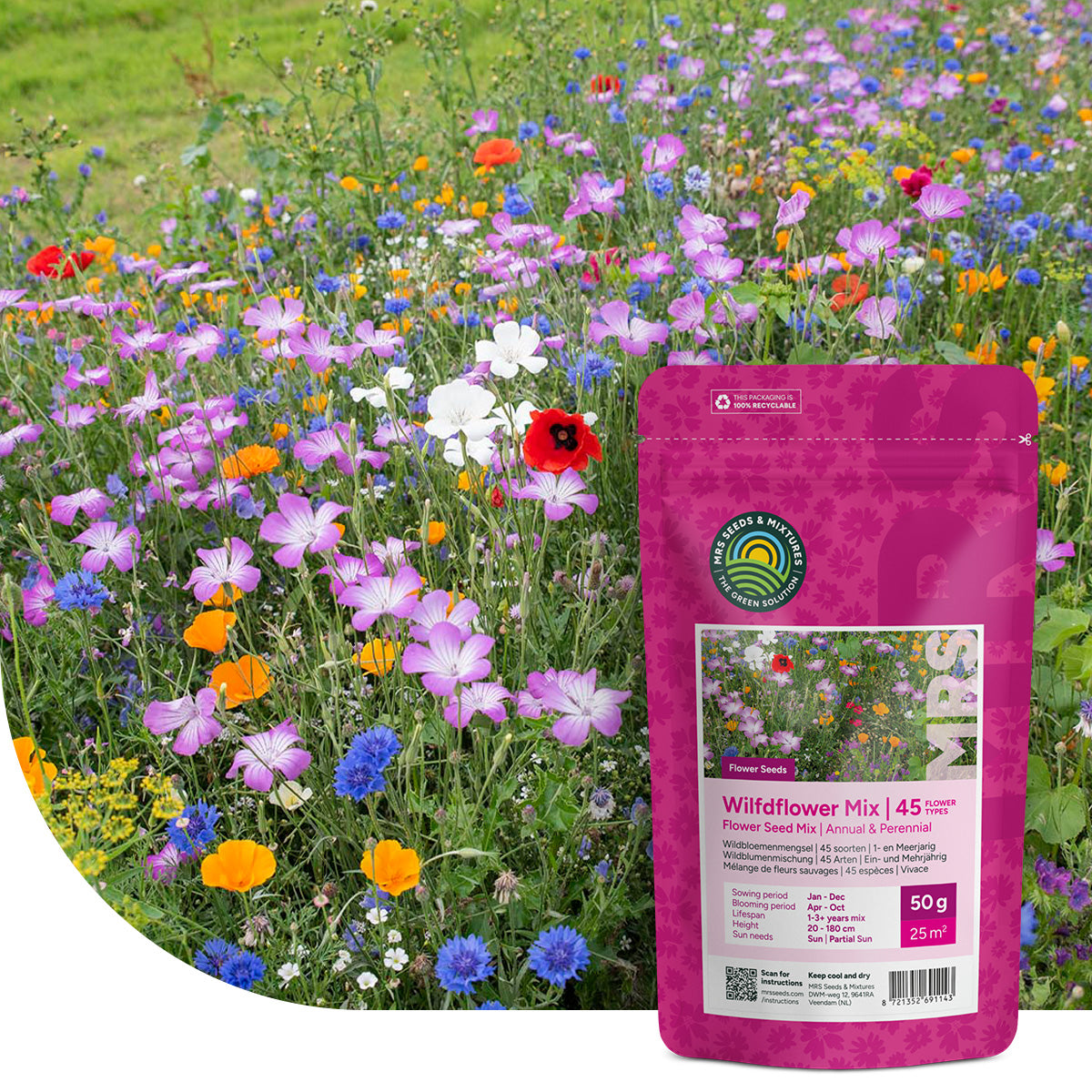 Mélange de fleurs sauvages annuelles et vivaces - 45 espèces