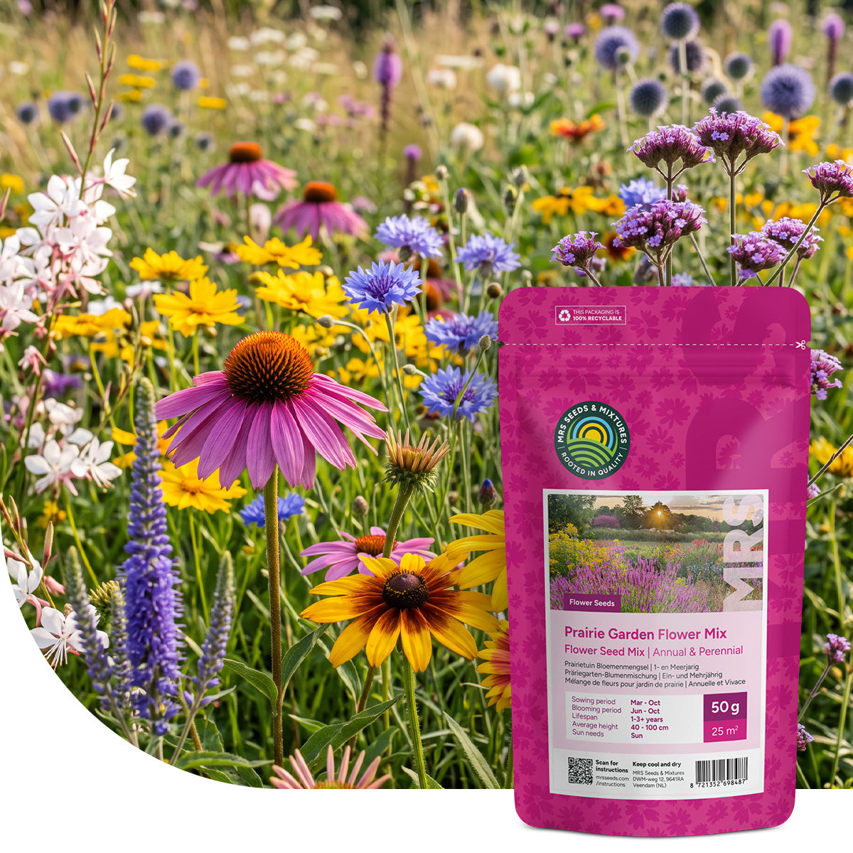 Mélange de fleurs pour jardin de prairie