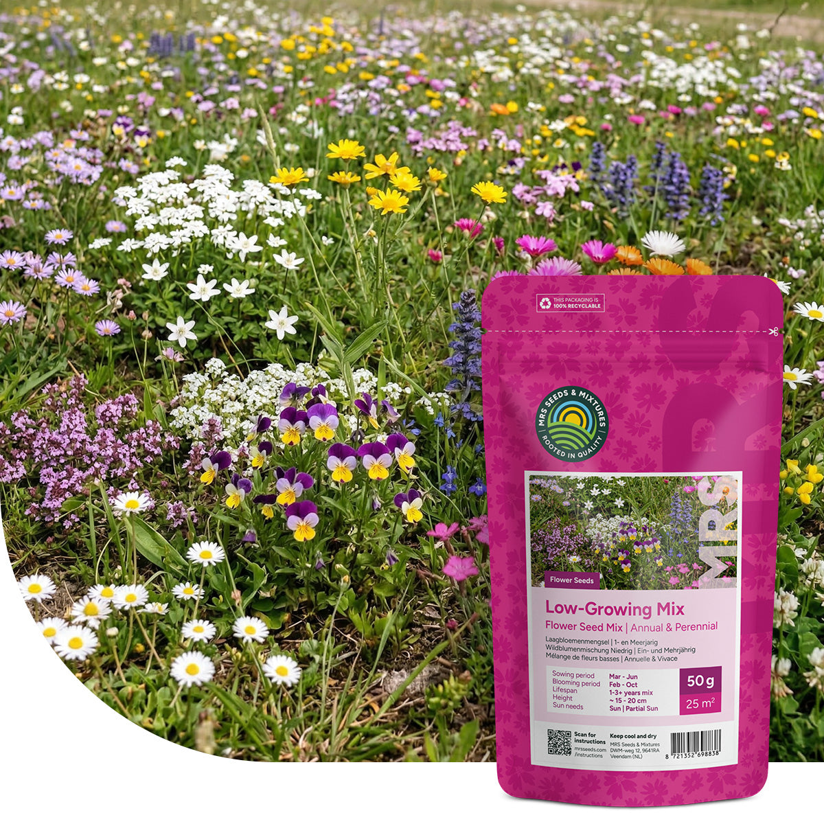 Mélange de fleurs basses – annuelles et vivaces
