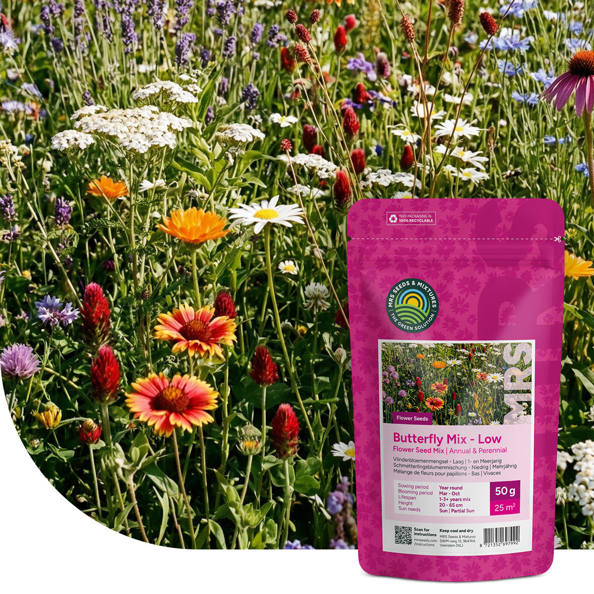 Mélange de fleurs pour papillons - Bas