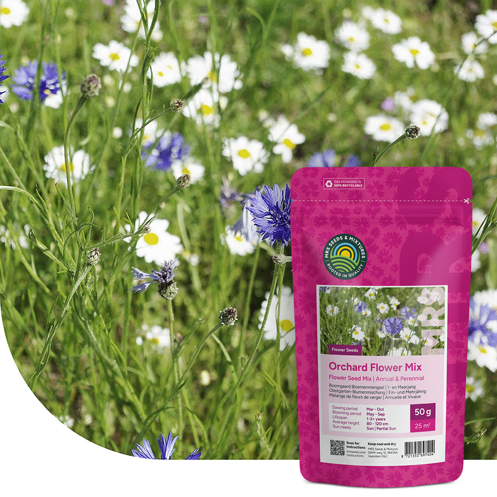Mélange de fleurs de verger – annuelles et vivaces