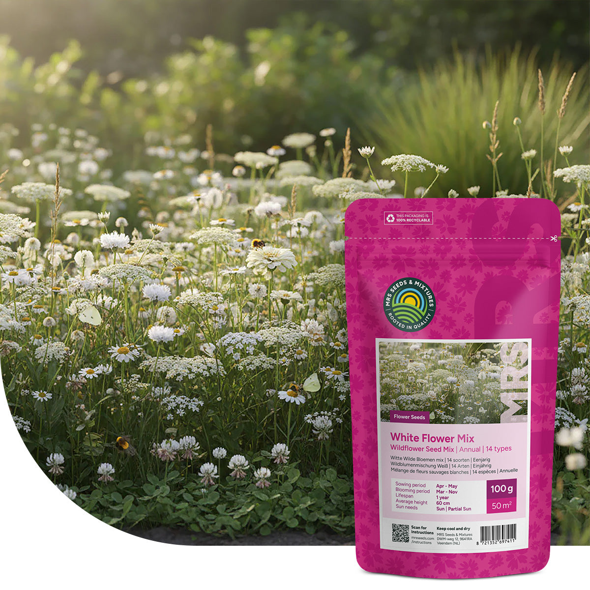 Mélange de fleurs sauvages blanches – 14 espèces