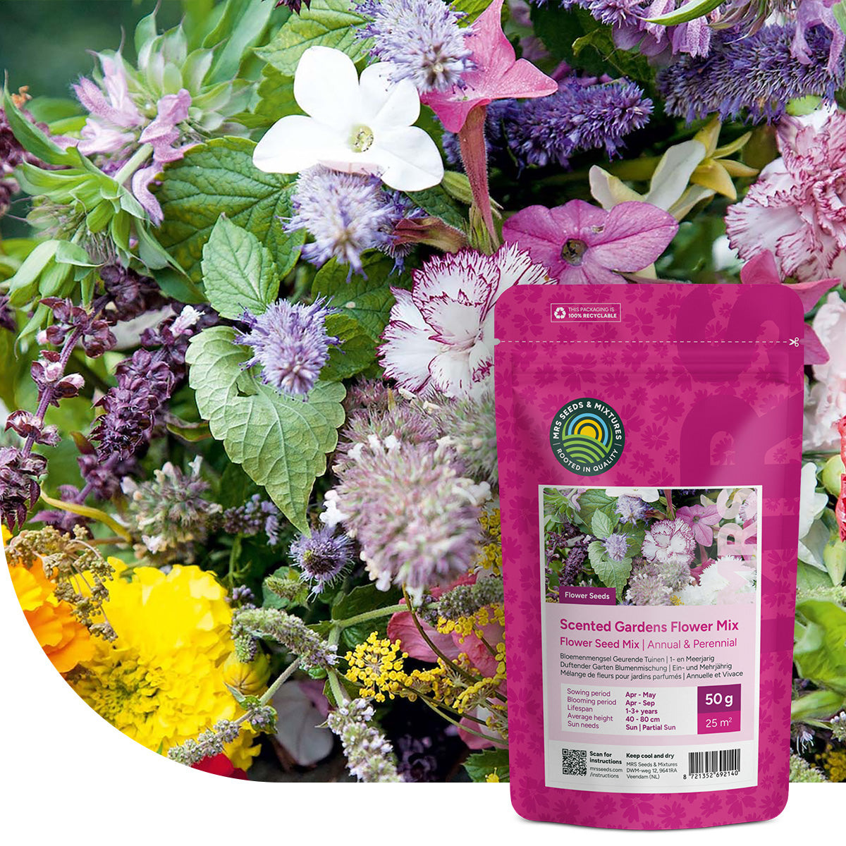 Mélange de fleurs de jardins parfumés – annuelles et vivaces