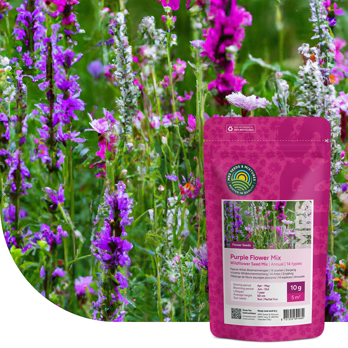 Mélange de fleurs sauvages pourpres – 14 espèces