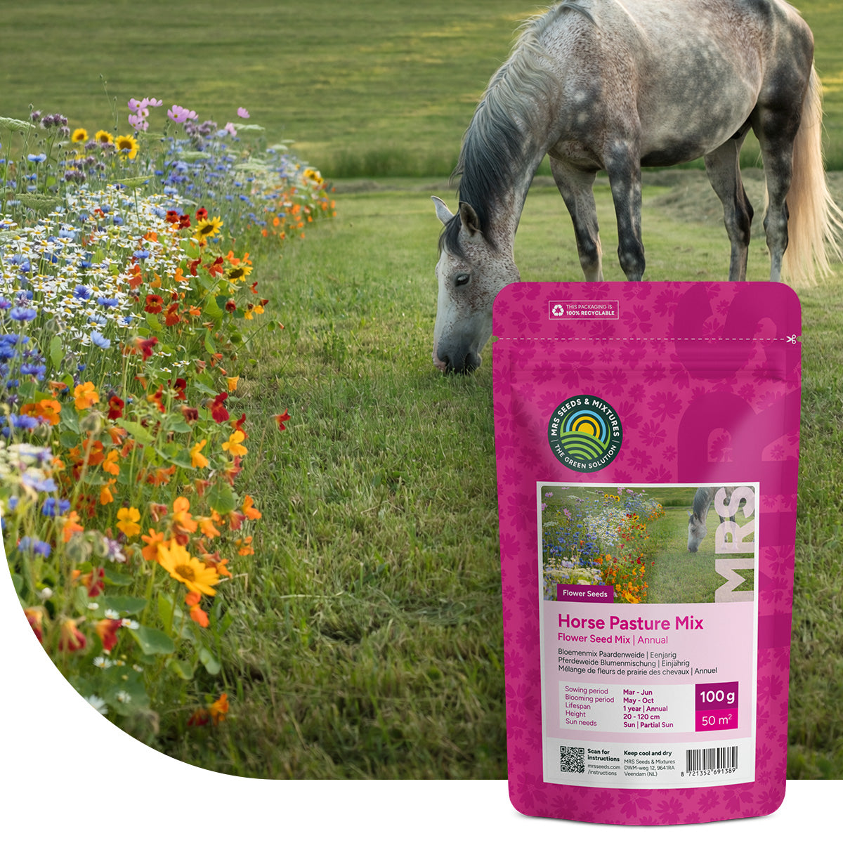 Mélange de fleurs de prairie des chevaux