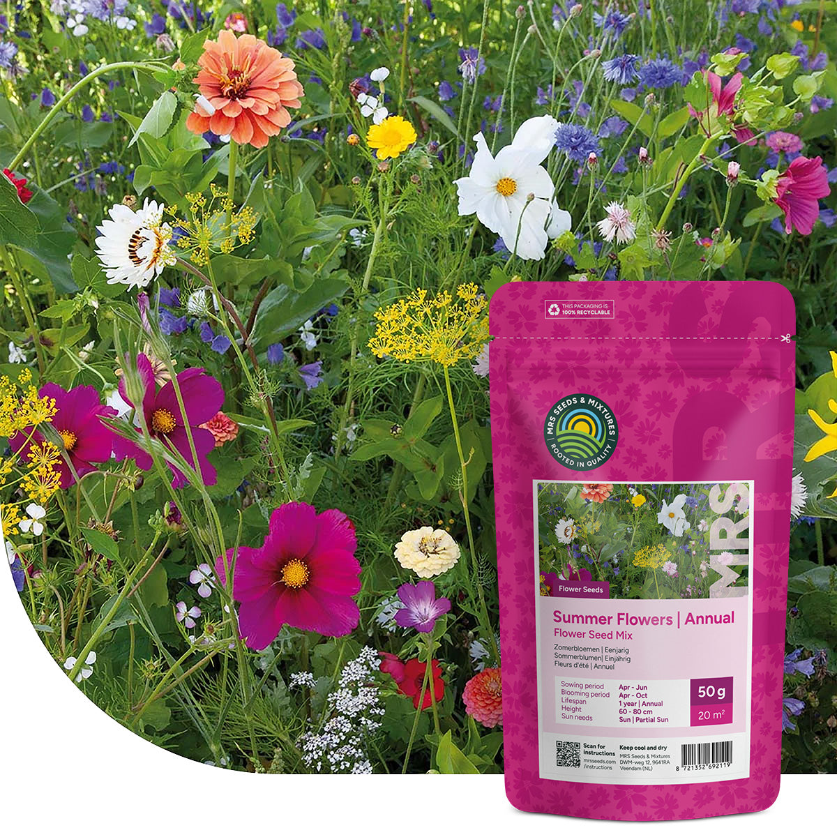 Mélange de fleurs d'été annuel