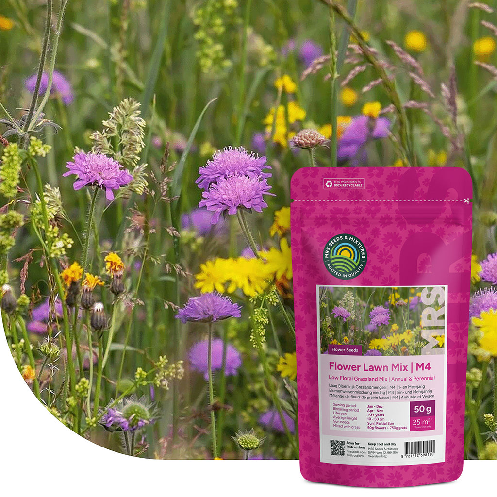 Type M4 – Mélange de fleurs de prairie basse