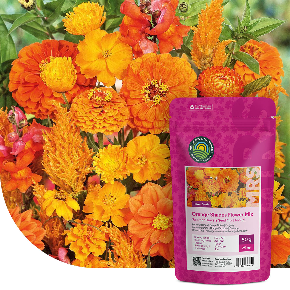 Fleurs d'été Mélange de nuances d'orange
