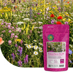 Type B1 - Mélange de fleurs coloré et rudéral