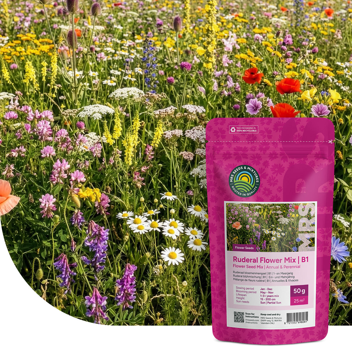 Type B1 - Mélange de fleurs coloré et rudéral